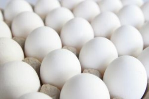 Vragen rondom PFAS in consumenten eieren